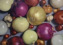 Margaret Morrison - Onions - 2005
