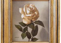 Margaret Morrison - White Rose - 2005