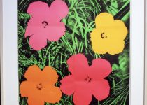 Andy Warhol - Flowers (Castelli Invitation) - 1964