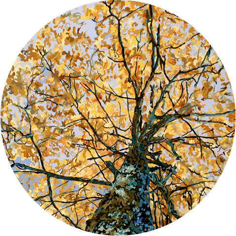 Trees - Group Exhibition hosted by Woodward Gallery