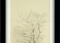 Hiro Ichikawa - Tree Study (Dogwood) - 2009