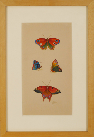Jaggu Prasad - Butterflies II - 2002