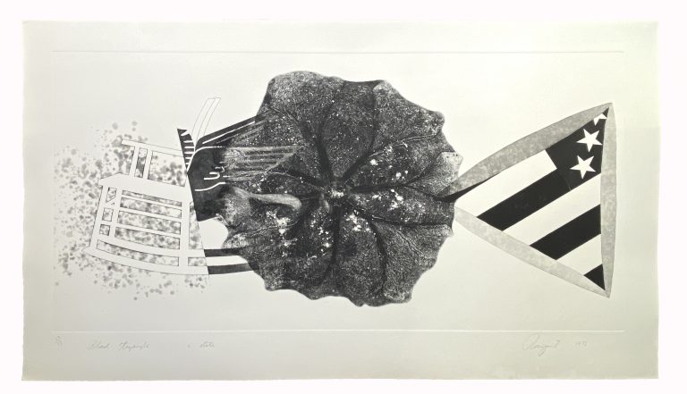James Rosenquist - Black Triangle (1978)